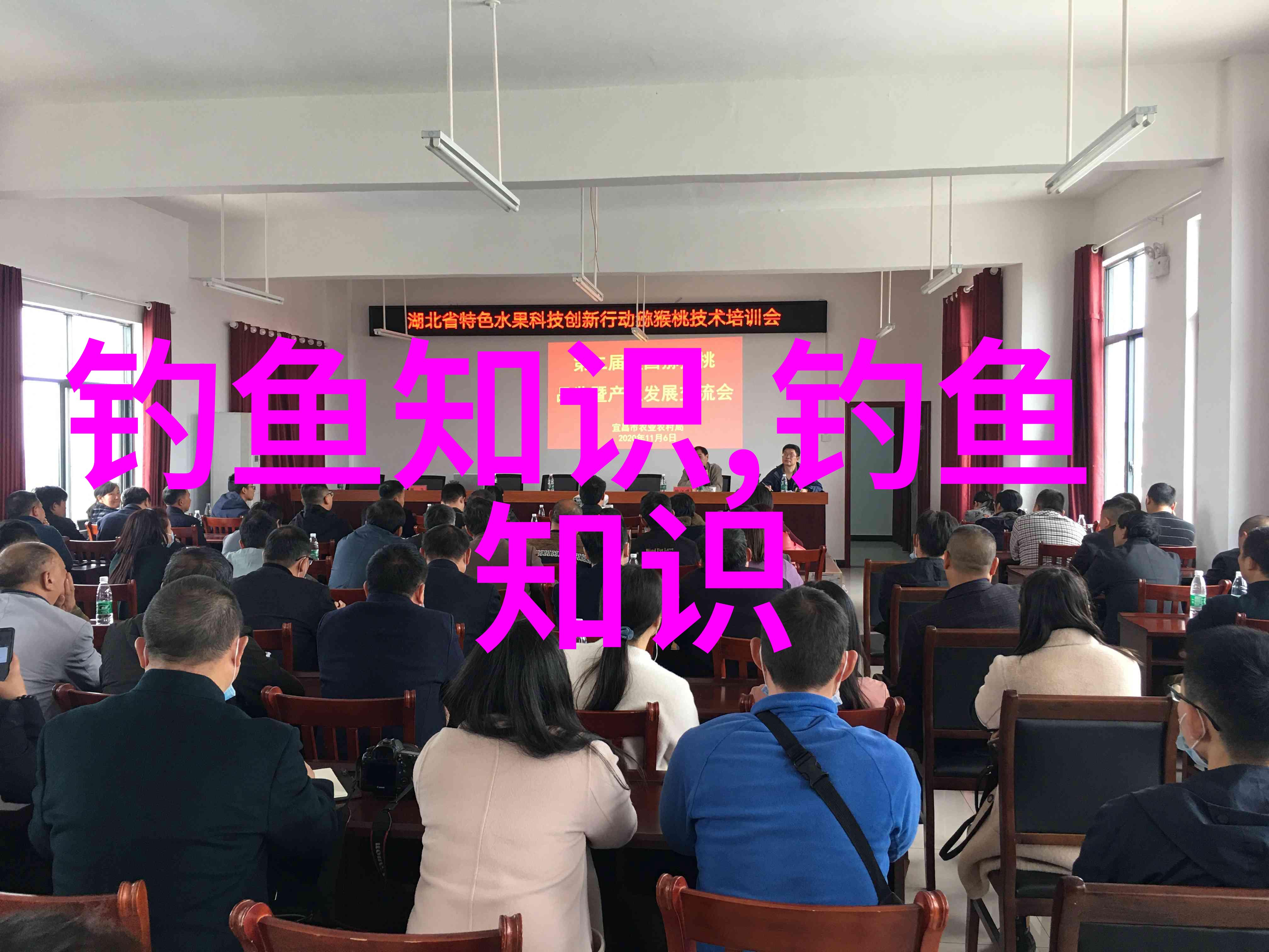 初春野钓鲤鱼最好用的饵料是什么钓位好上鱼想爆护必学这4招