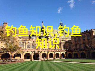 初春钓鱼晴天阴天下雨天天气的不同适合出钓的时间也不同