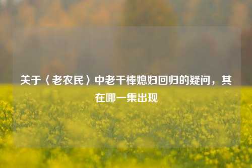 关于〈老农民〉中老干棒媳妇回归的疑问，其在哪一集出现