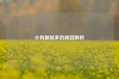 小狗眼屎多的原因解析