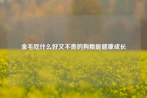 金毛吃什么好又不贵的狗粮能健康成长