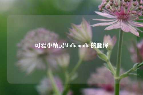 可爱小精灵Muffiemuffie的翻译
