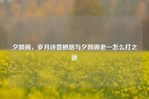 夕颜阁，岁月诗意栖居与夕颜阁老一怎么打之谜