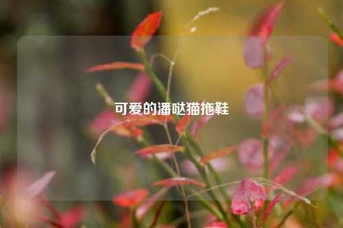 可爱的潘哒猫拖鞋