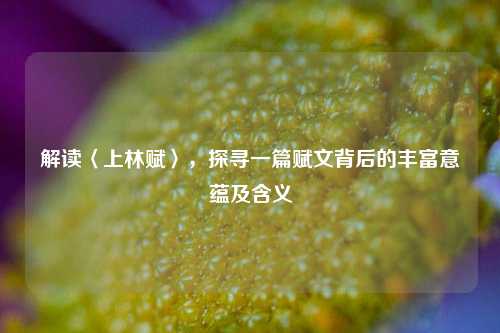 解读〈上林赋〉，探寻一篇赋文背后的丰富意蕴及含义