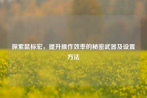 探索鼠标宏，提升操作效率的秘密武器及设置方法