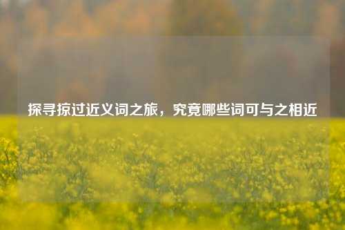 探寻掠过近义词之旅，究竟哪些词可与之相近