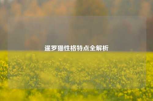 暹罗猫性格特点全解析