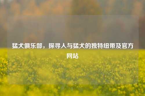 猛犬俱乐部，探寻人与猛犬的独特纽带及官方网站