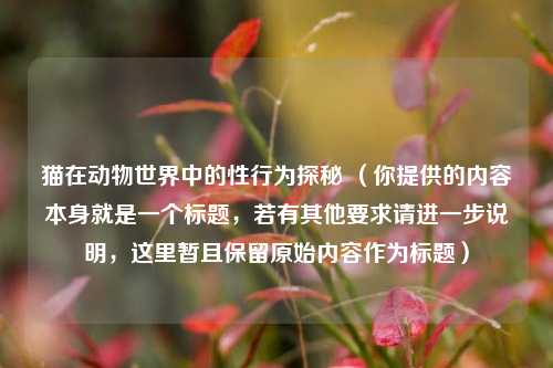 猫在动物世界中的性行为探秘 （你提供的内容本身就是一个标题，若有其他要求请进一步说明，这里暂且保留原始内容作为标题）