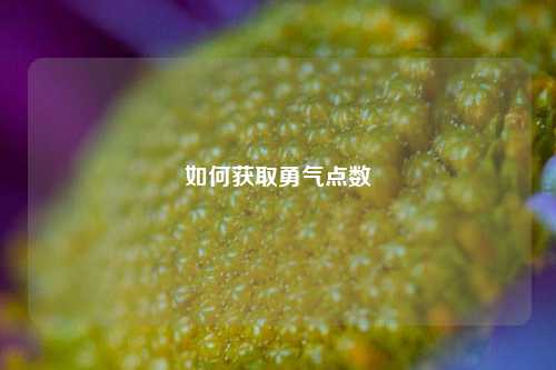 如何获取勇气点数