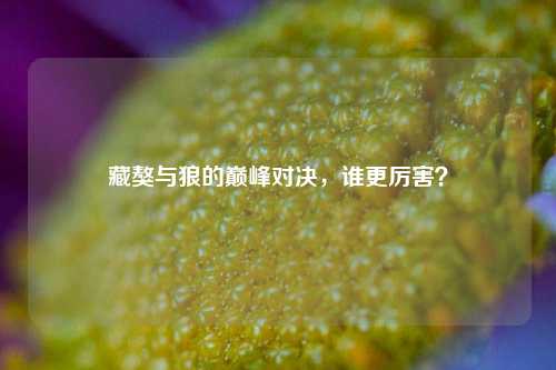 藏獒与狼的巅峰对决，谁更厉害？