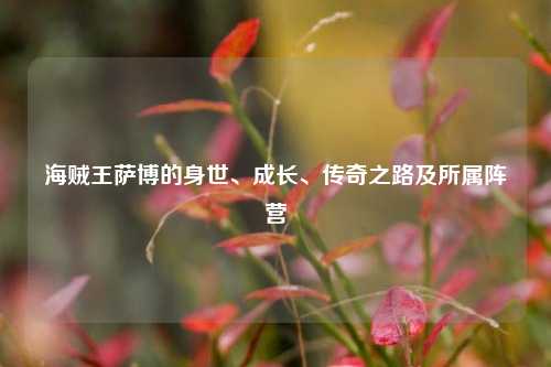 海贼王萨博的身世、成长、传奇之路及所属阵营