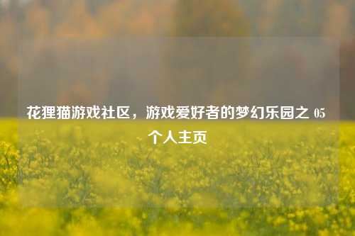 花狸猫游戏社区，游戏爱好者的梦幻乐园之 05 个人主页