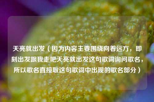 天亮就出发（因为内容主要围绕向着远方，即刻出发跟我走吧天亮就出发这句歌词询问歌名，所以歌名直接取这句歌词中出现的歌名部分）
