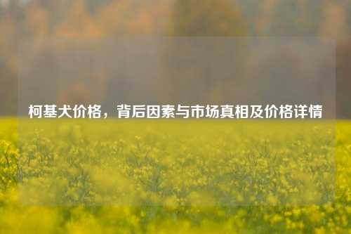 柯基犬价格，背后因素与市场真相及价格详情