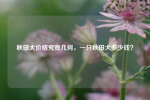 秋田犬价格究竟几何，一只秋田犬多少钱？