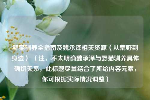 野猫驯养全指南及魏承泽相关资源（从荒野到身边） （注，不太明确魏承泽与野猫驯养具体确切关系，此标题尽量结合了所给内容元素，你可根据实际情况调整）