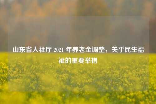 山东省人社厅 2021 年养老金调整，关乎民生福祉的重要举措