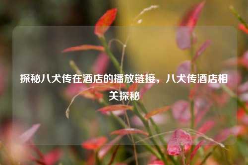 探秘八犬传在酒店的播放链接，八犬传酒店相关探秘