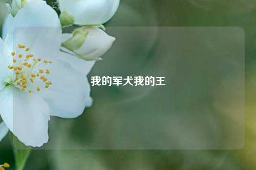 我的军犬我的王