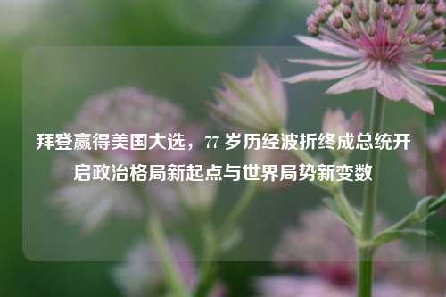 拜登赢得美国大选，77 岁历经波折终成总统开启政治格局新起点与世界局势新变数