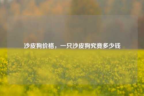 沙皮狗价格，一只沙皮狗究竟多少钱