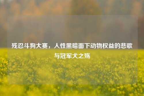 残忍斗狗大赛，人性黑暗面下动物权益的悲歌与冠军犬之殇