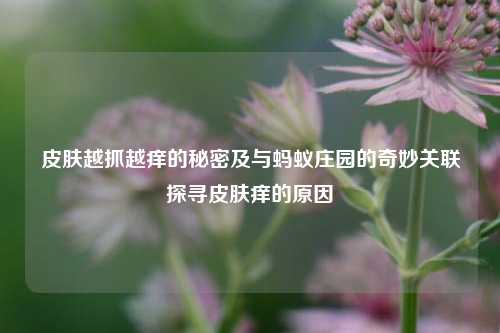 皮肤越抓越痒的秘密及与蚂蚁庄园的奇妙关联探寻皮肤痒的原因