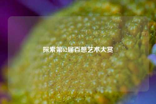 探索第62届百想艺术大赏