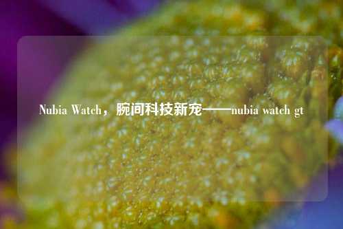 Nubia Watch，腕间科技新宠——nubia watch gt