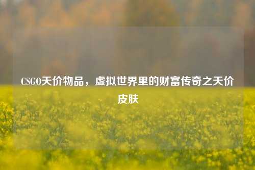 CSGO天价物品，虚拟世界里的财富传奇之天价皮肤