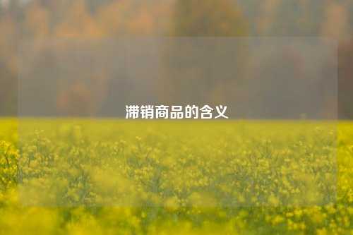 滞销商品的含义
