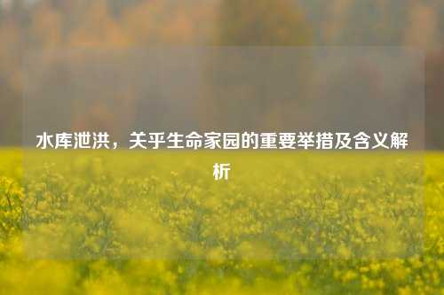 水库泄洪，关乎生命家园的重要举措及含义解析