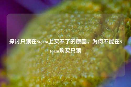探讨只狼在Steam上买不了的原因，为何不能在Steam购买只狼