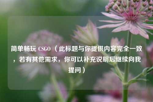 简单畅玩 CSGO （此标题与你提供内容完全一致，若有其他需求，你可以补充说明后继续向我提问）