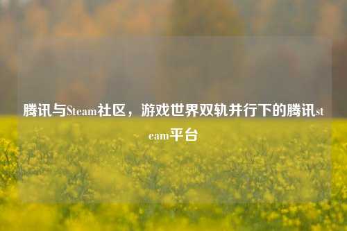 腾讯与Steam社区，游戏世界双轨并行下的腾讯steam平台