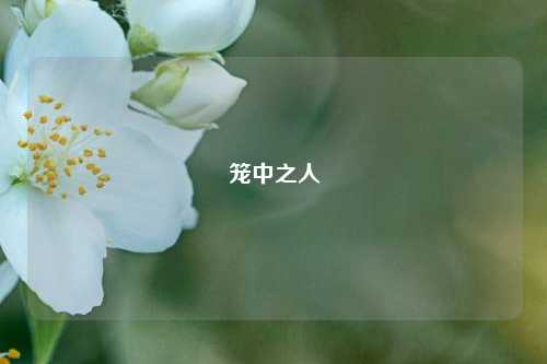 笼中之人