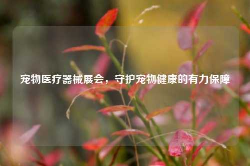 宠物医疗器械展会，守护宠物健康的有力保障