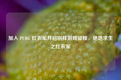 加入 PUBG 红衣军开启别样游戏征程，绝地求生之红衣军