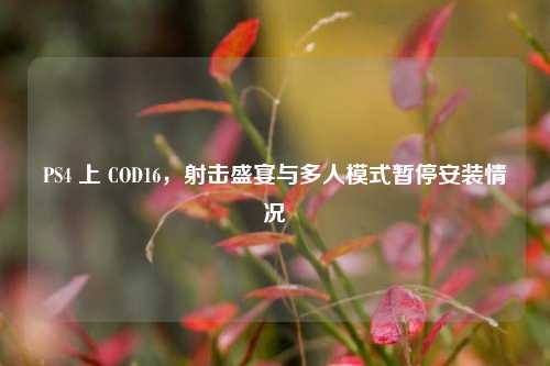 PS4 上 COD16，射击盛宴与多人模式暂停安装情况