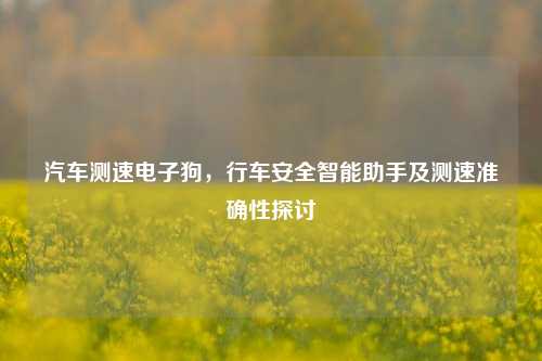 汽车测速电子狗，行车安全智能助手及测速准确性探讨