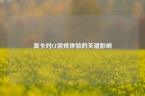 显卡对CF游戏体验的关键影响