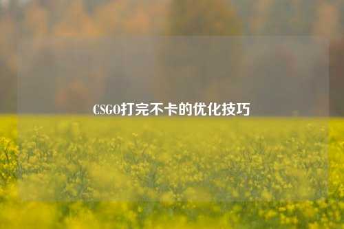 CSGO打完不卡的优化技巧