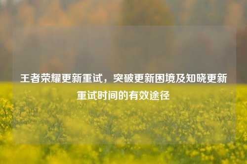 王者荣耀更新重试，突破更新困境及知晓更新重试时间的有效途径