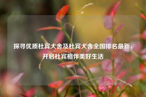 探寻优质杜宾犬舍及杜宾犬舍全国排名最新，开启杜宾相伴美好生活