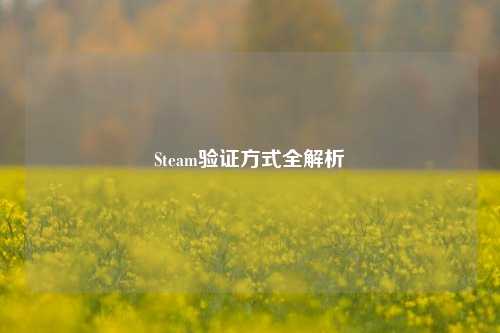 Steam验证方式全解析