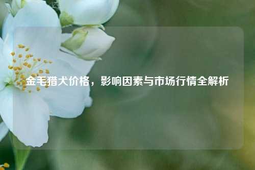 金毛猎犬价格，影响因素与市场行情全解析
