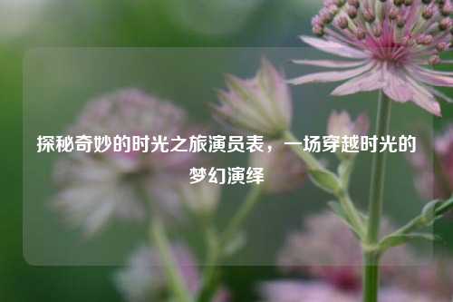 探秘奇妙的时光之旅演员表，一场穿越时光的梦幻演绎