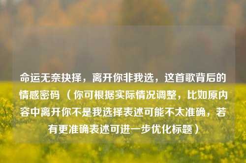 命运无奈抉择，离开你非我选，这首歌背后的情感密码 （你可根据实际情况调整，比如原内容中离开你不是我选择表述可能不太准确，若有更准确表述可进一步优化标题）